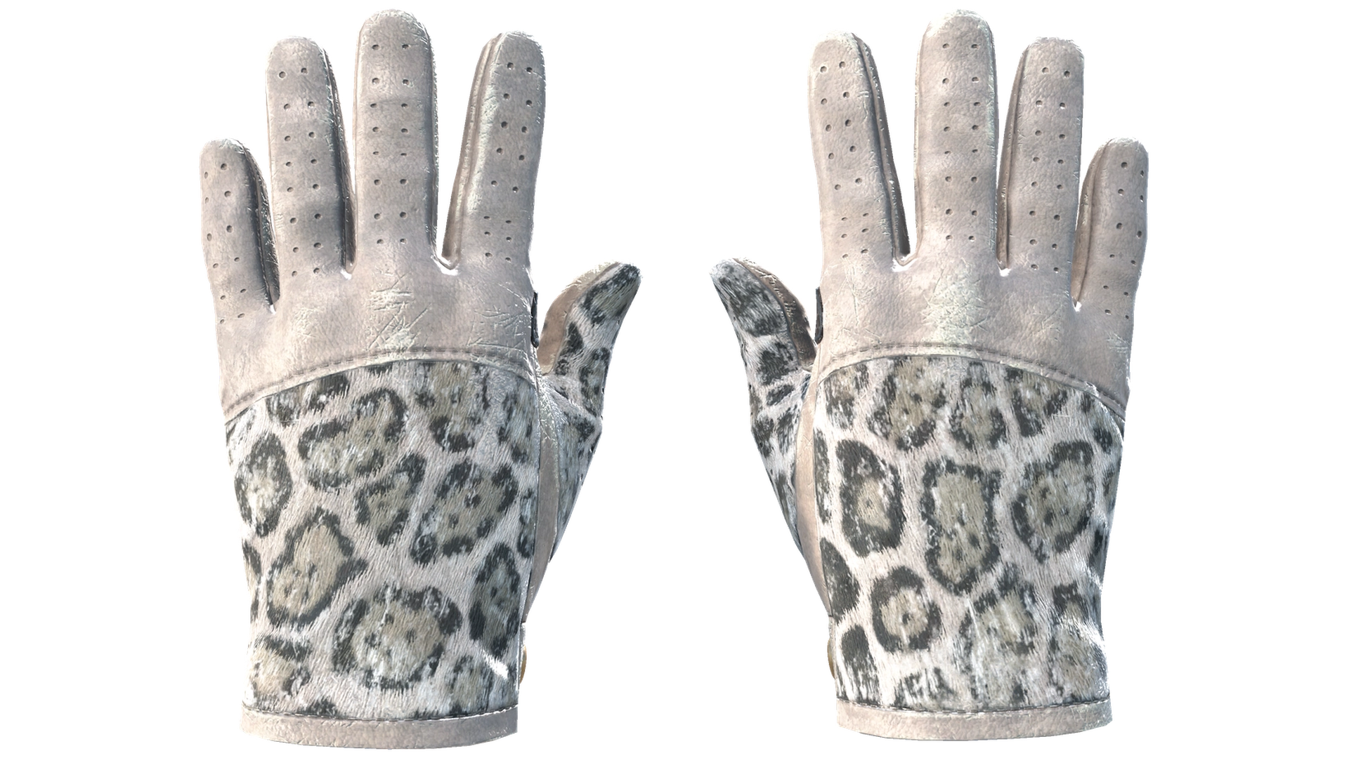 Snow Leopard image
