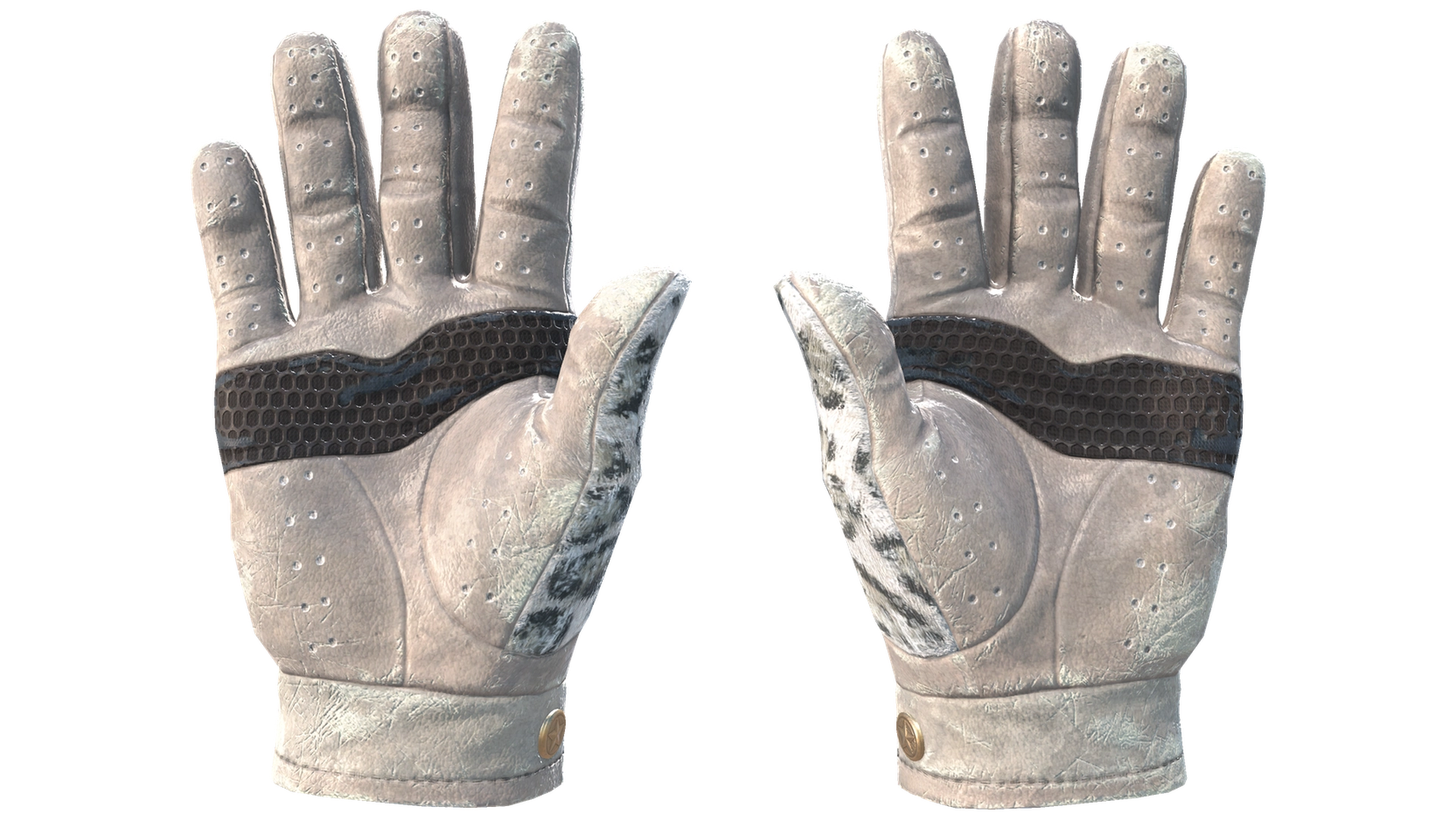 Snow Leopard image