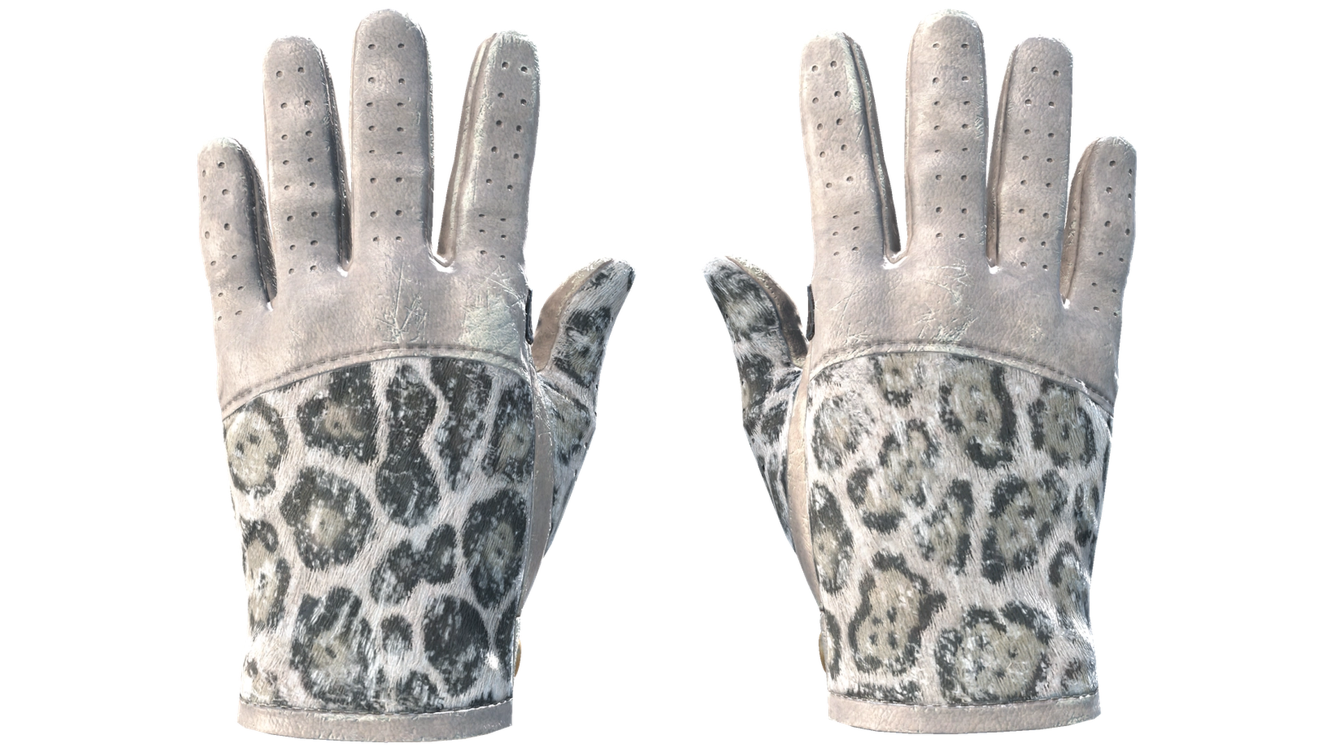Snow Leopard image