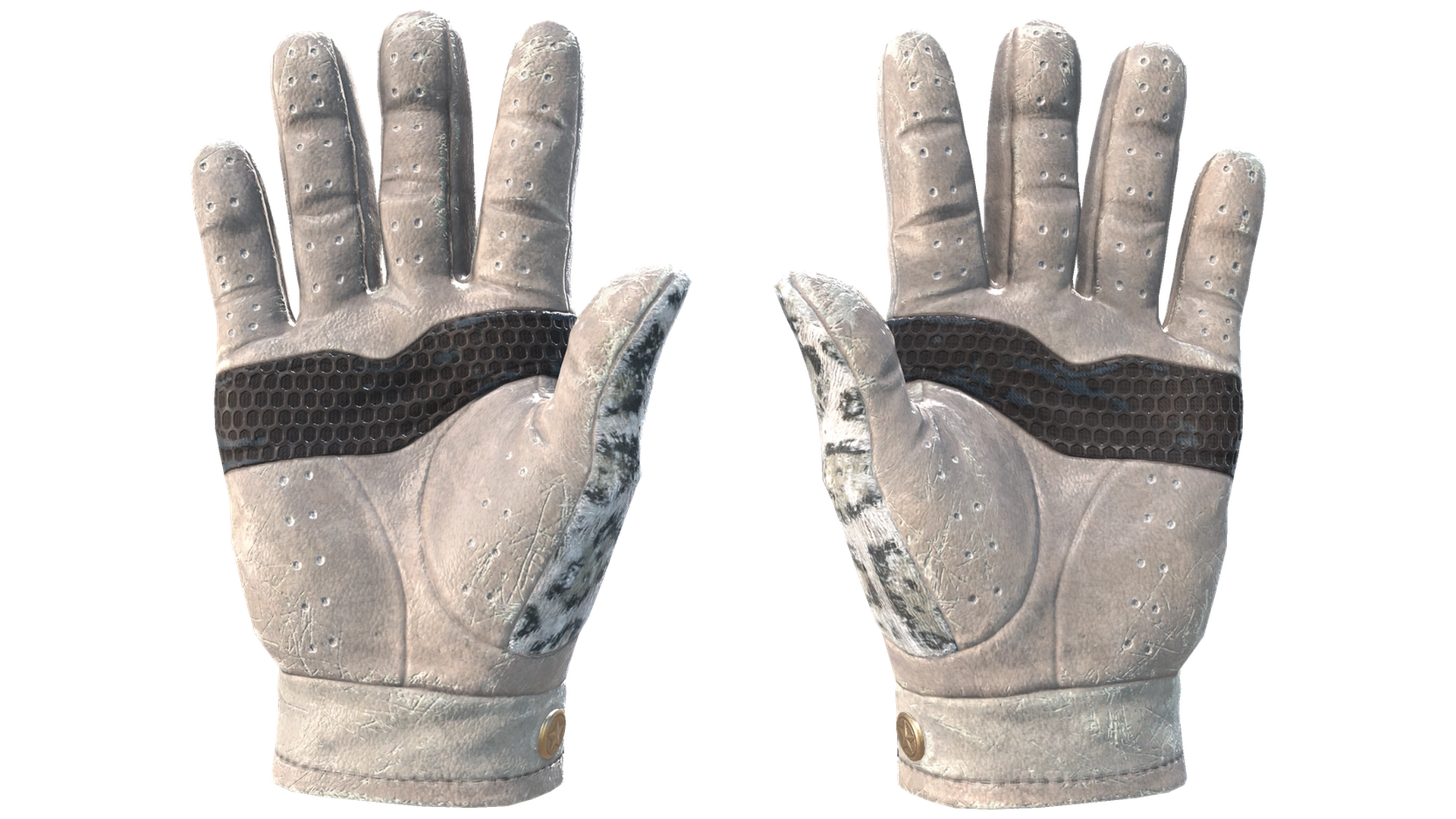 Snow Leopard image