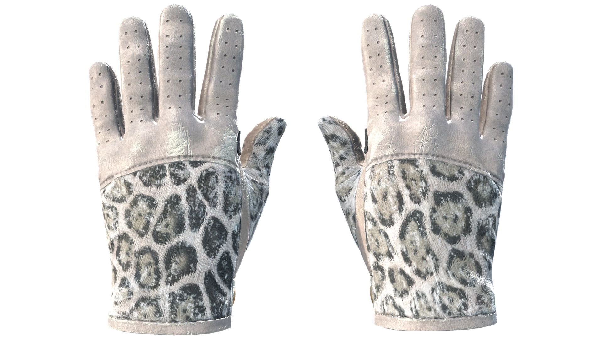 Snow Leopard image