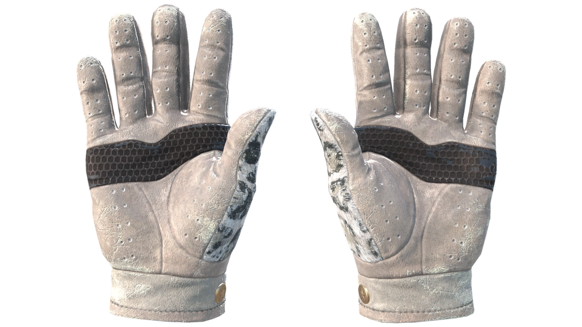 Snow Leopard image