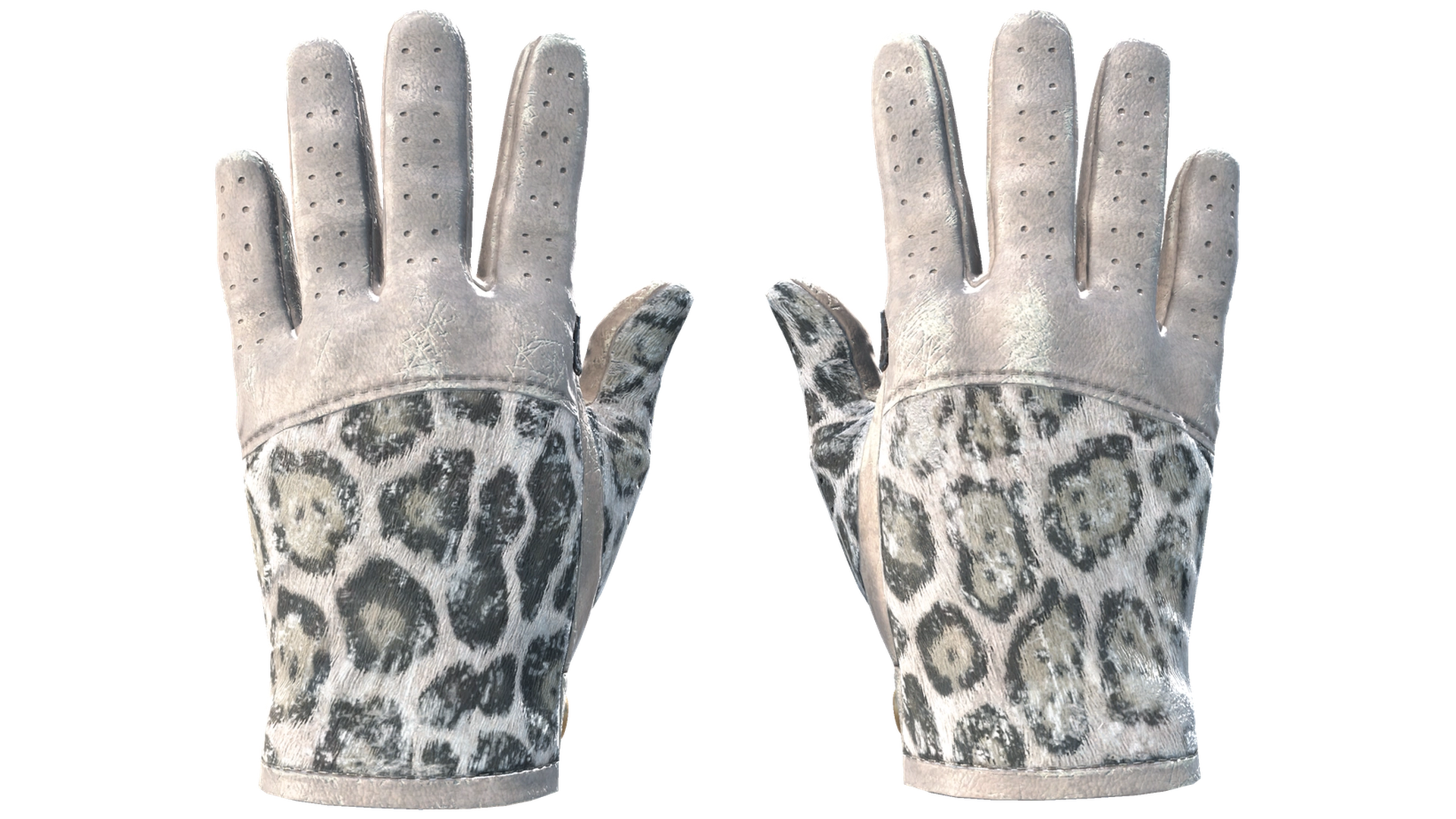 Snow Leopard image