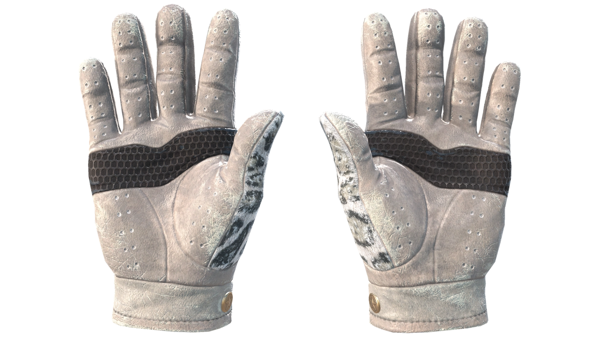 Snow Leopard image