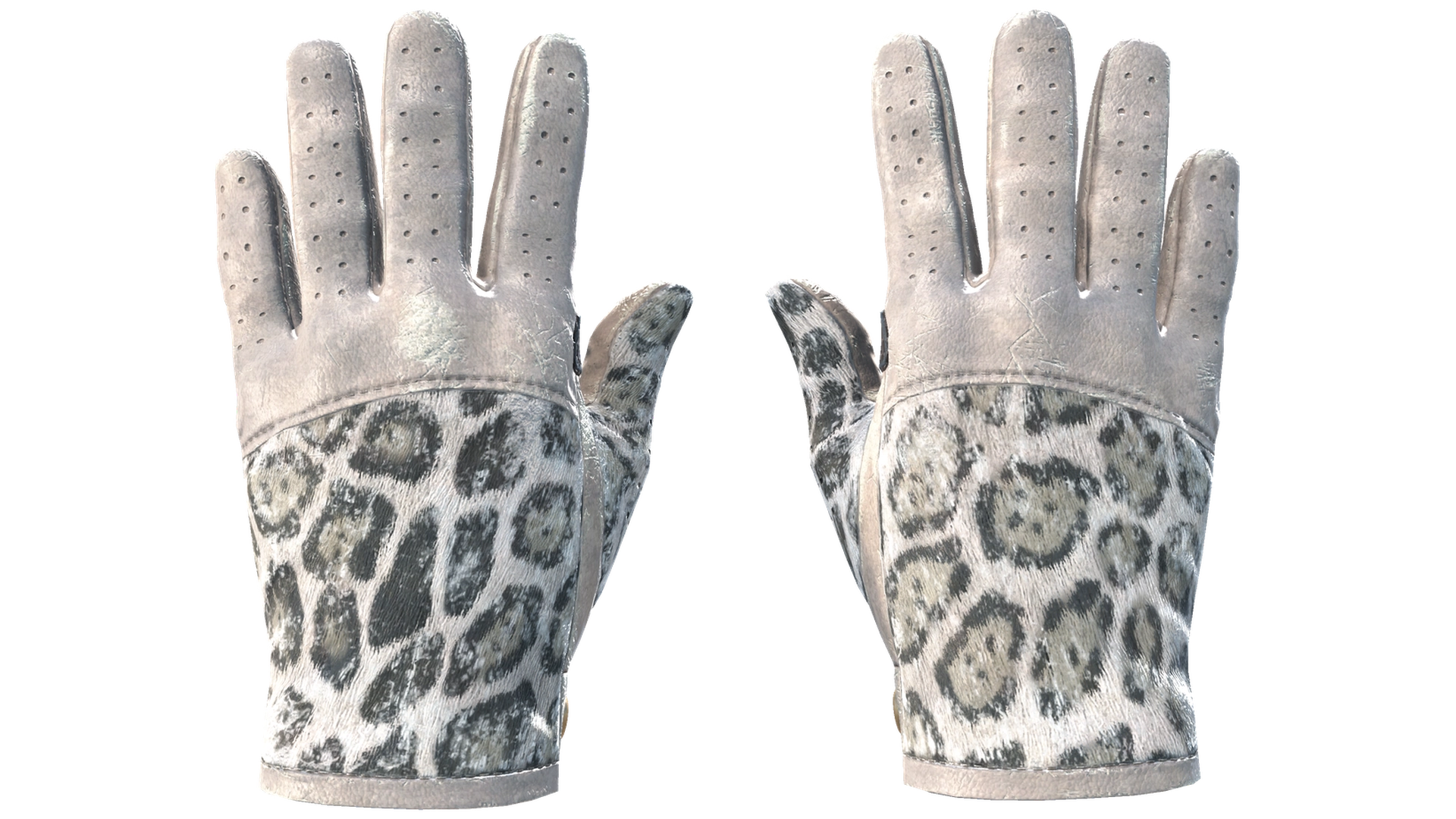 Snow Leopard image