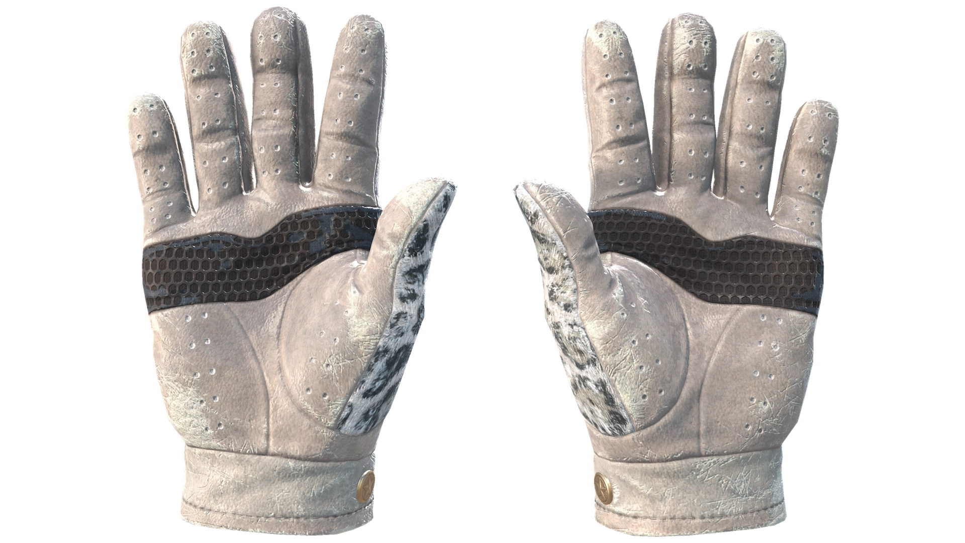 Snow Leopard image