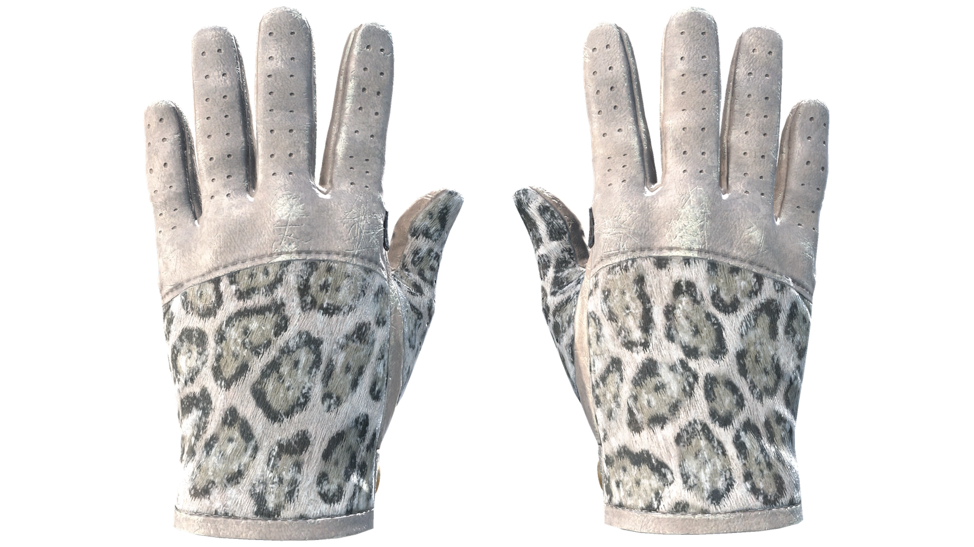 Snow Leopard image