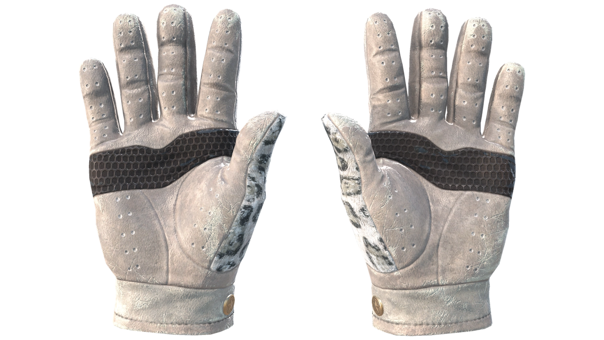 Snow Leopard image