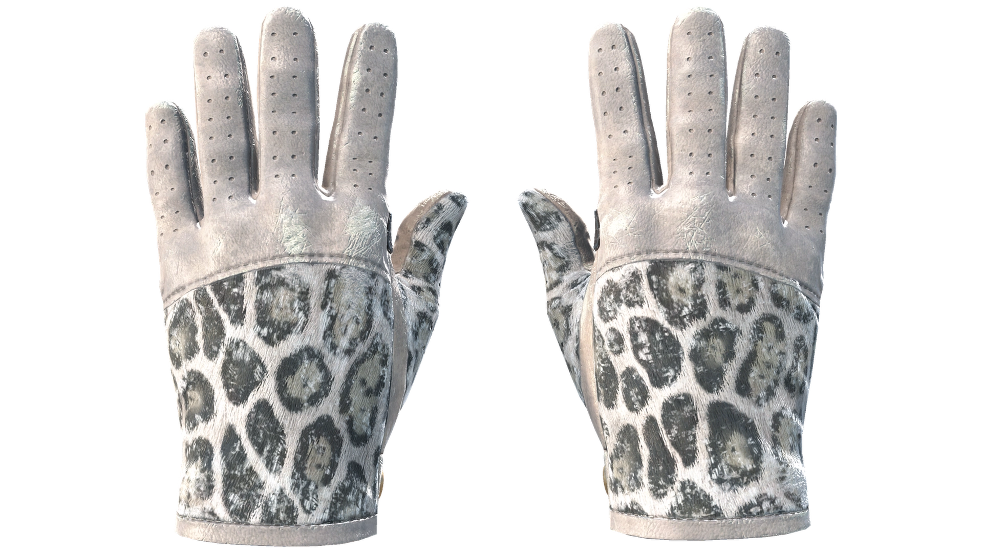 Snow Leopard image