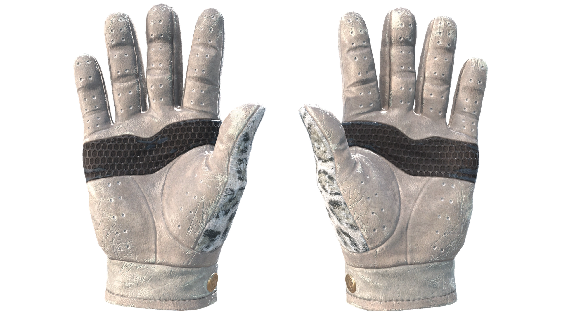 Snow Leopard image