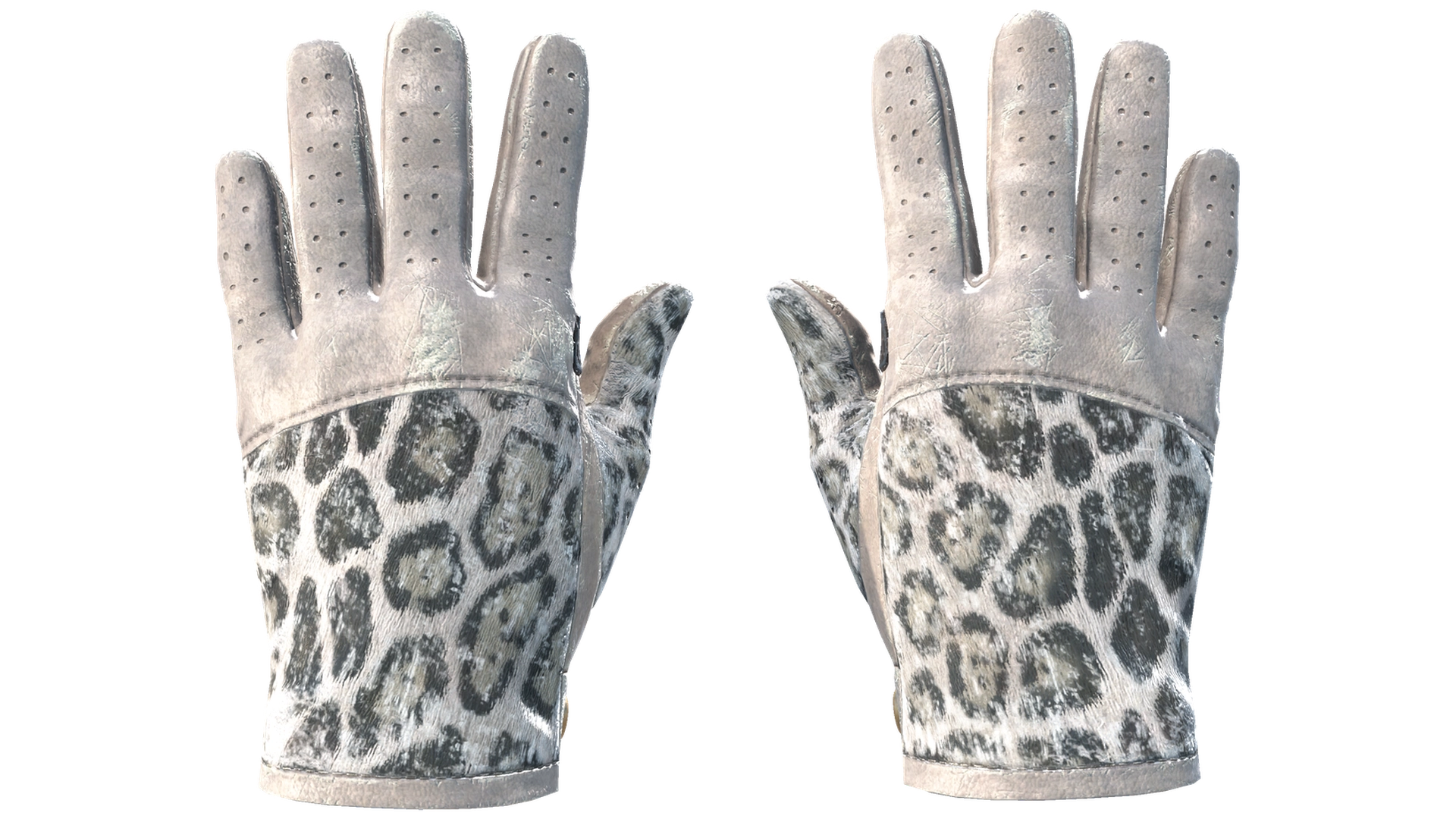 Snow Leopard image