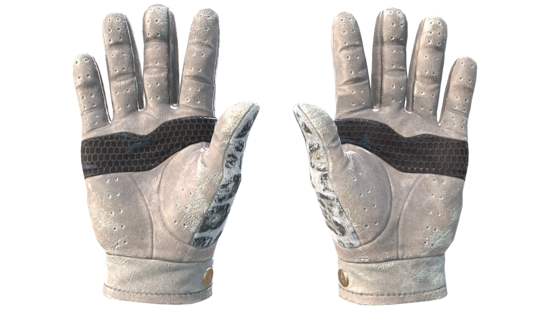 Snow Leopard image