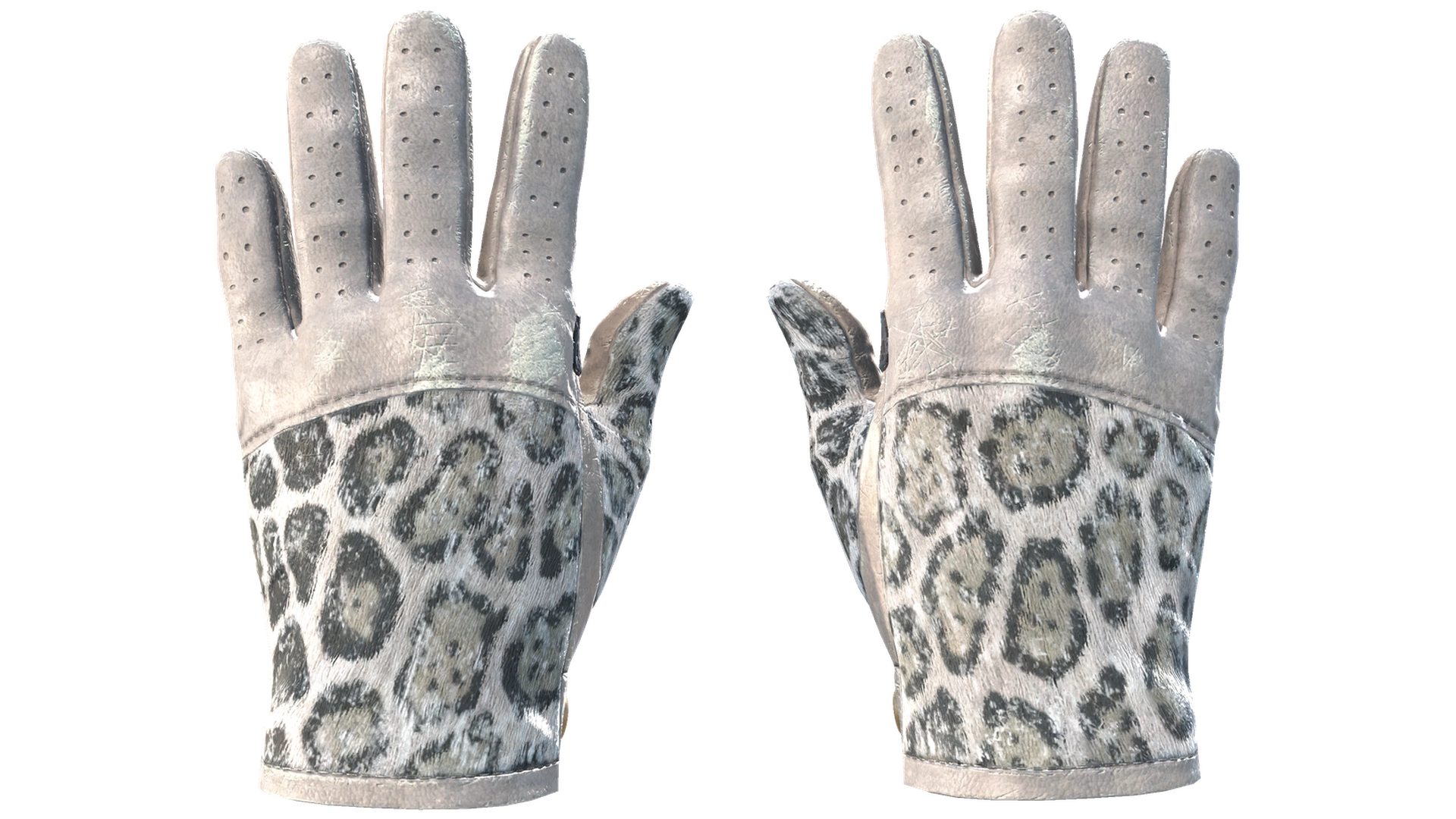 Snow Leopard image
