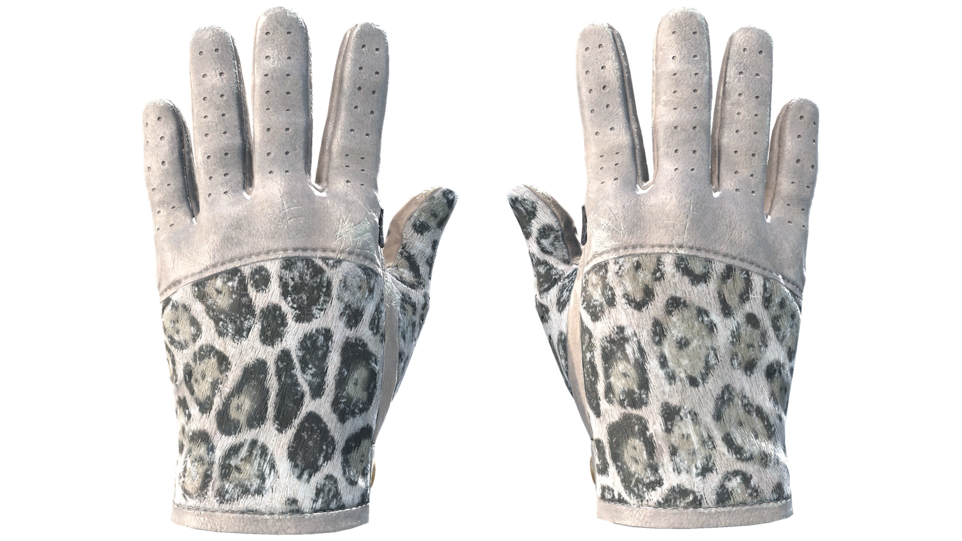 Snow Leopard image