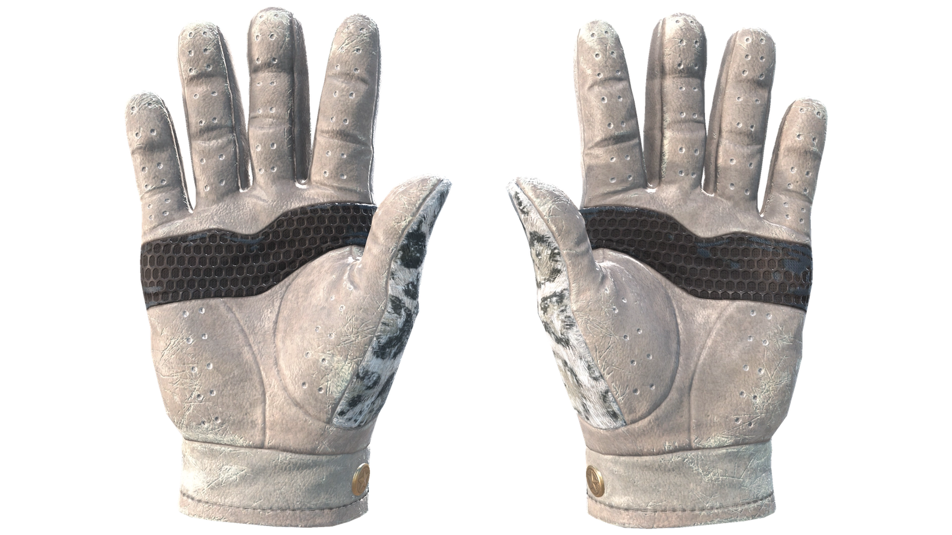 Snow Leopard image
