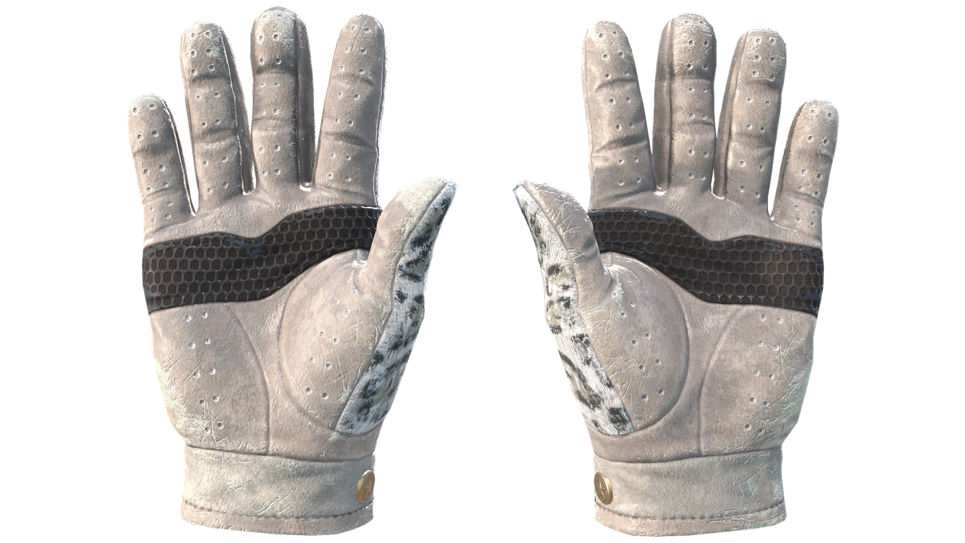 Snow Leopard image