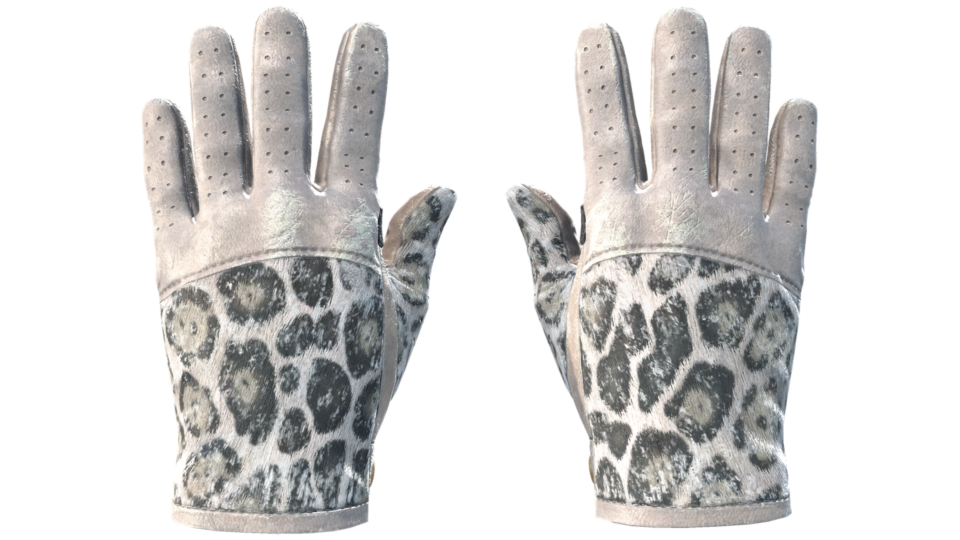 Snow Leopard image