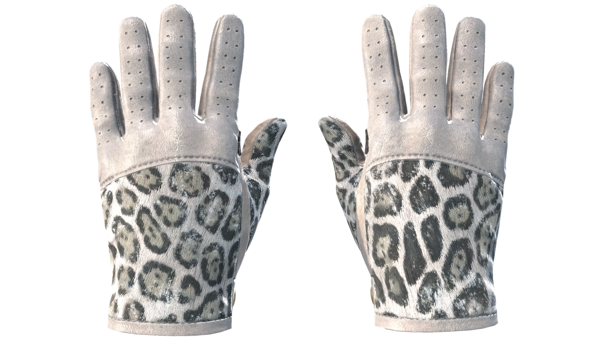 Snow Leopard image