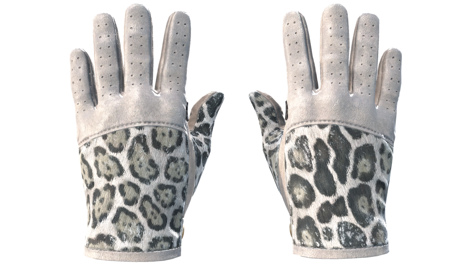 Snow Leopard image