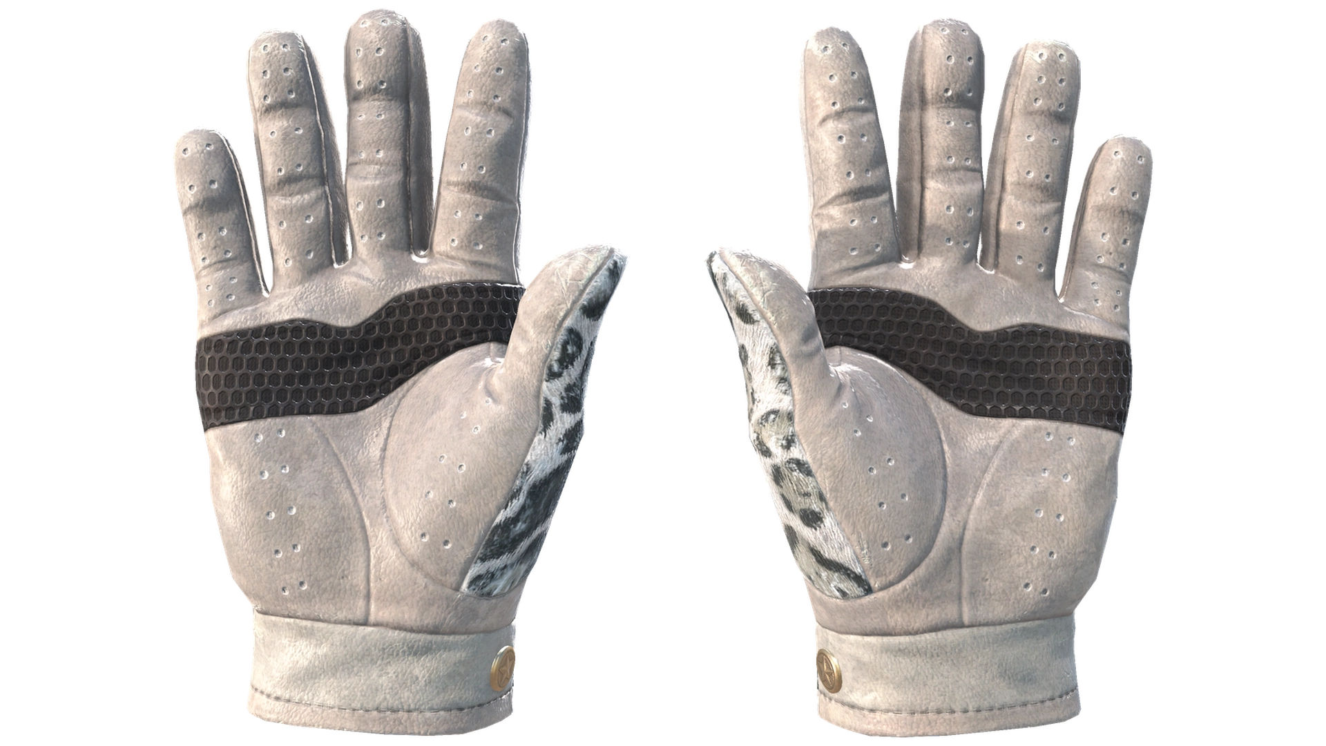 Snow Leopard image