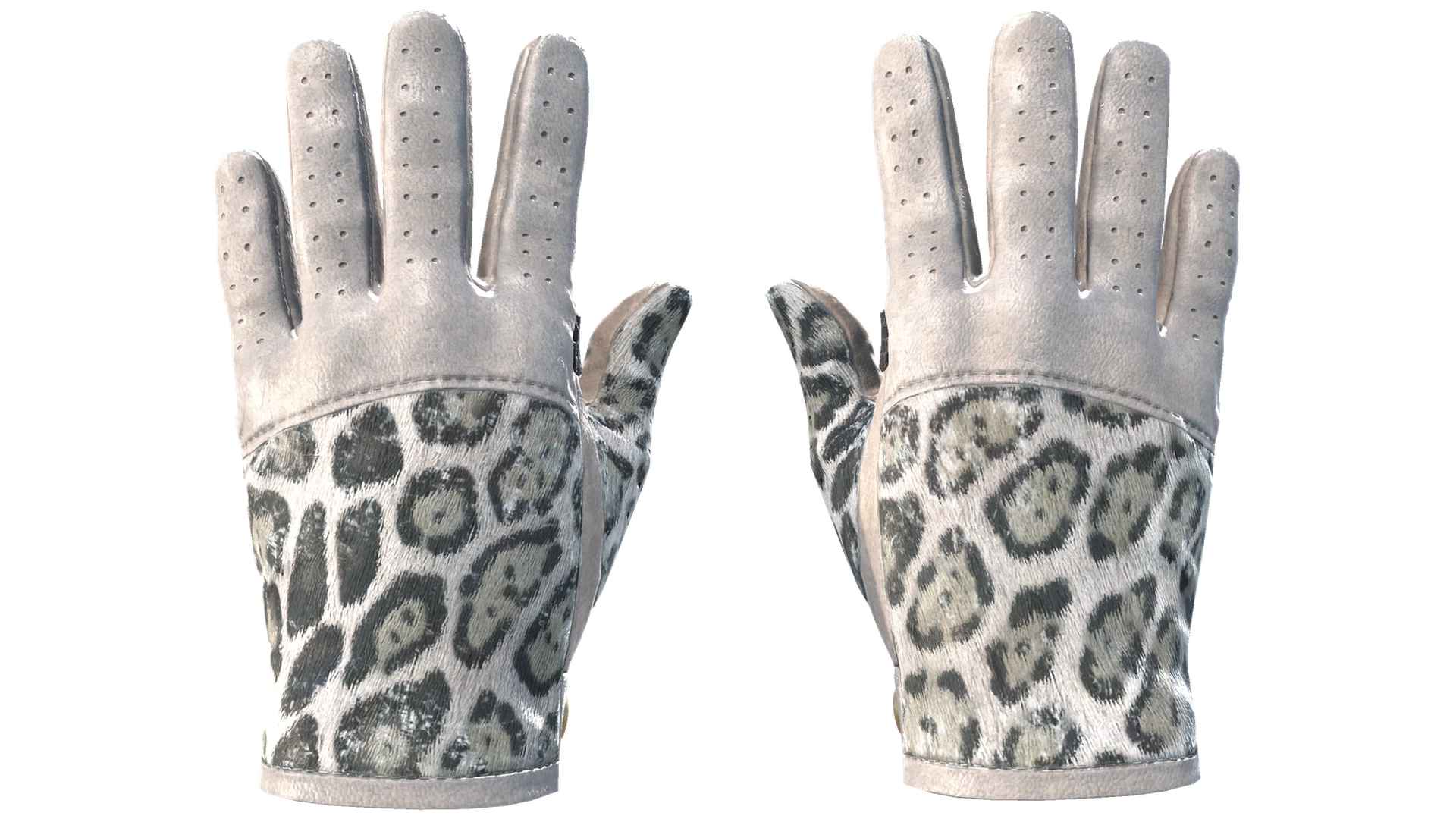 Snow Leopard image