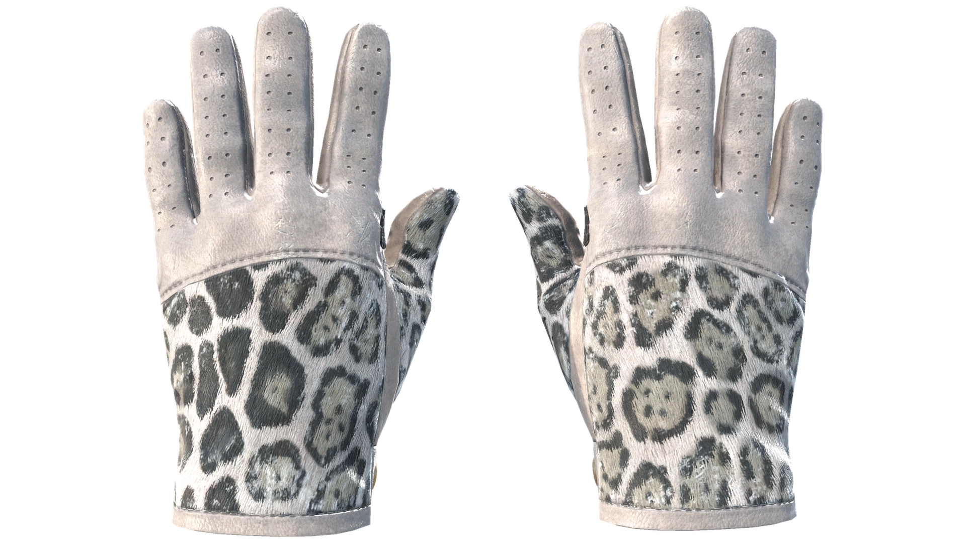 Snow Leopard image