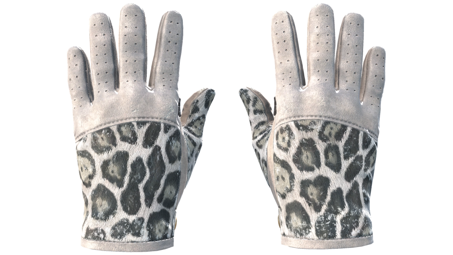 Snow Leopard image
