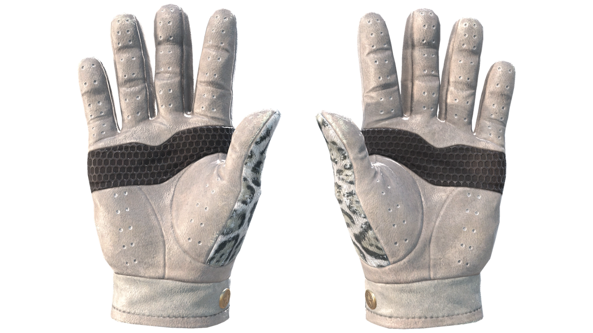 Snow Leopard image