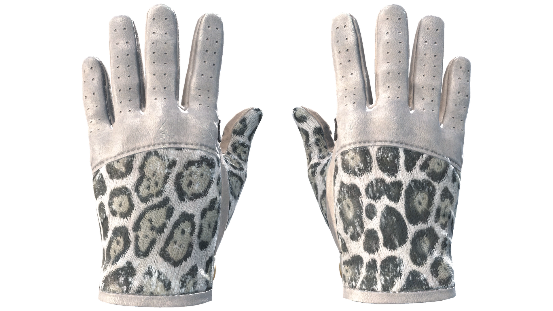 Snow Leopard image