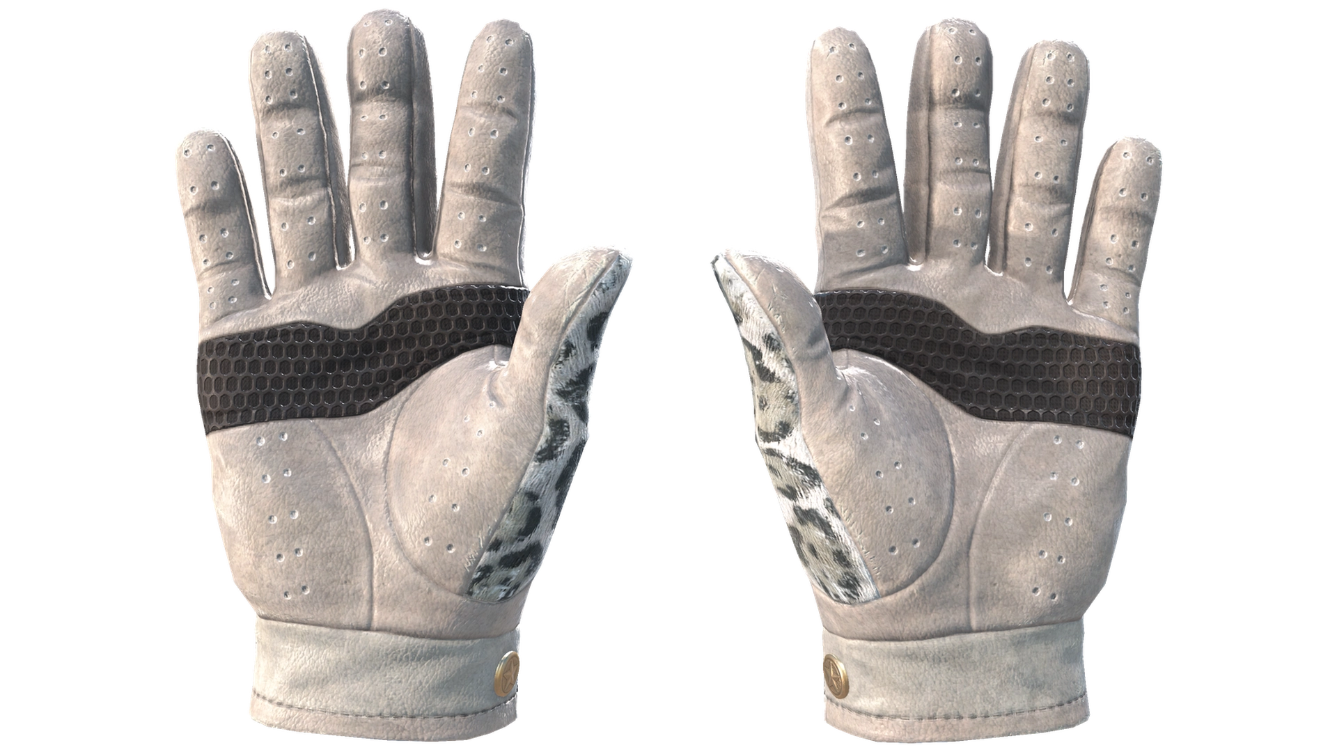 Snow Leopard image