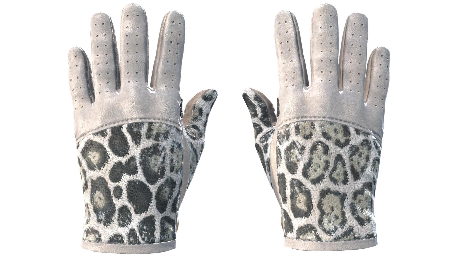Snow Leopard image