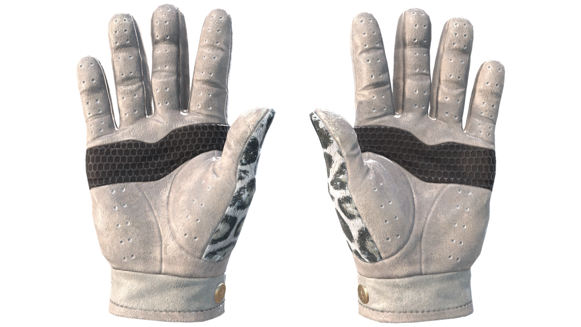 Snow Leopard image