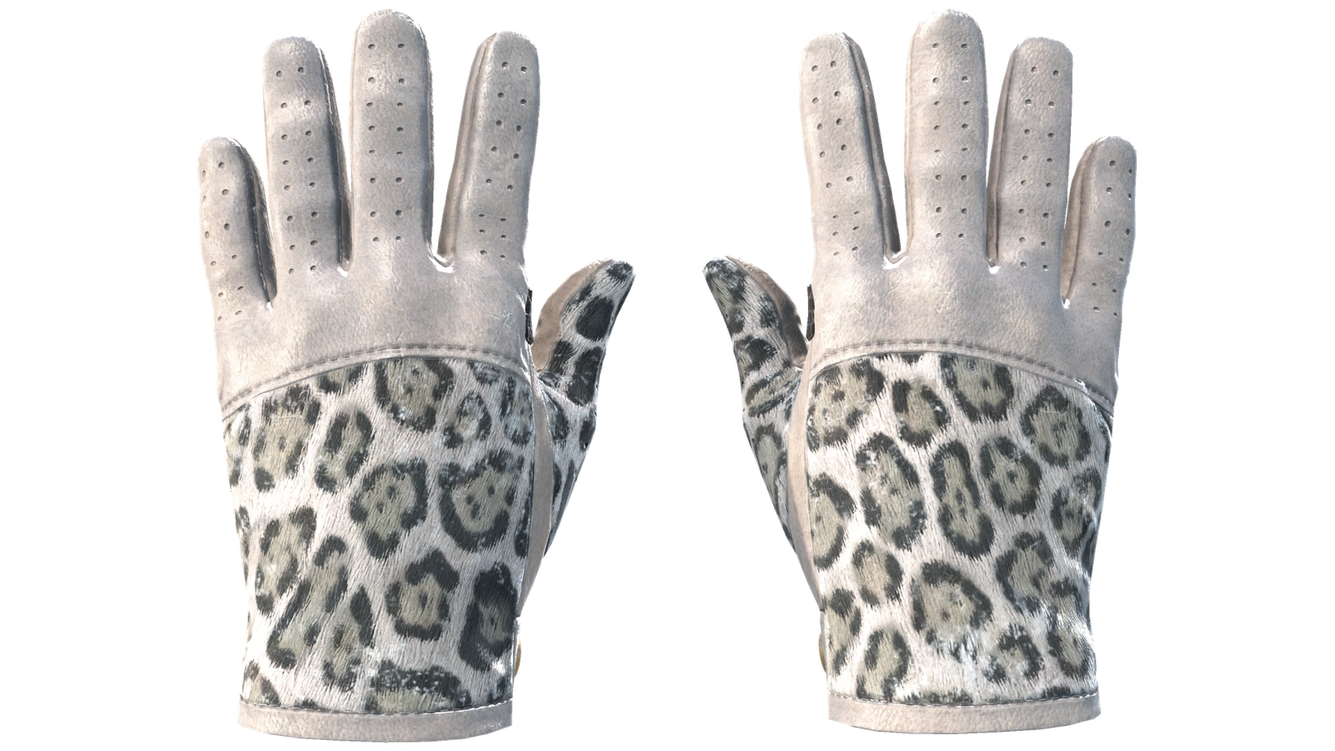 Snow Leopard image