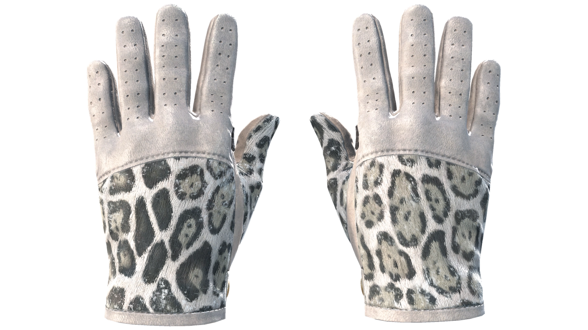 Snow Leopard image