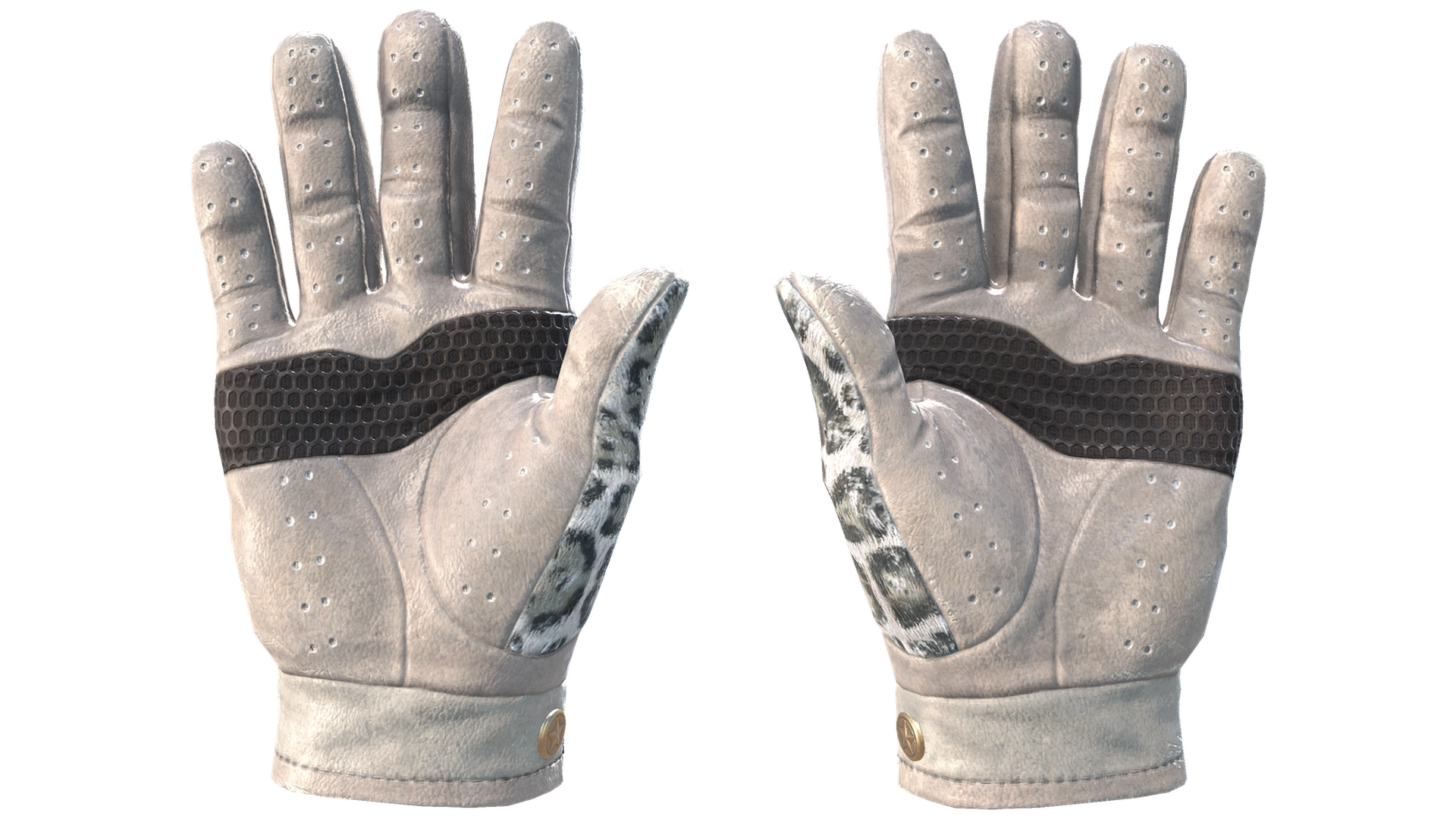 Snow Leopard image
