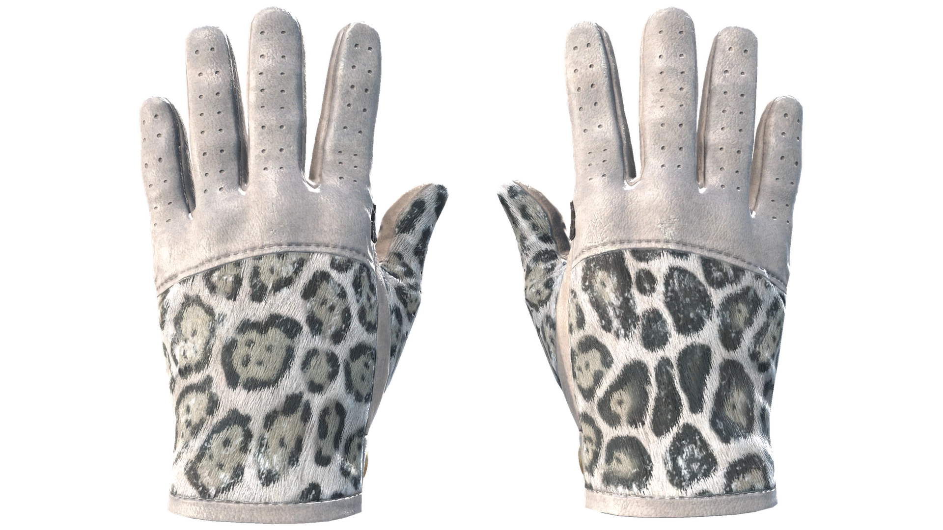 Snow Leopard image