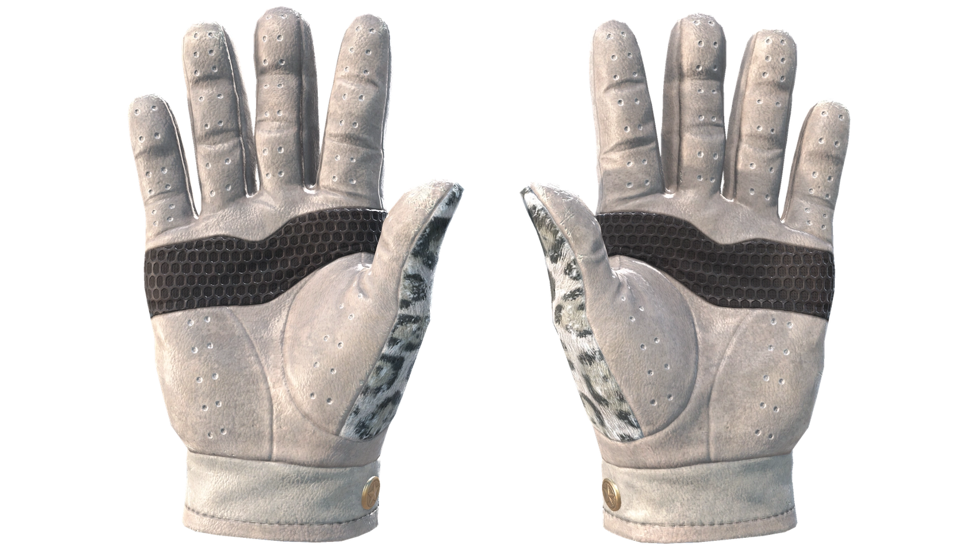 Snow Leopard image