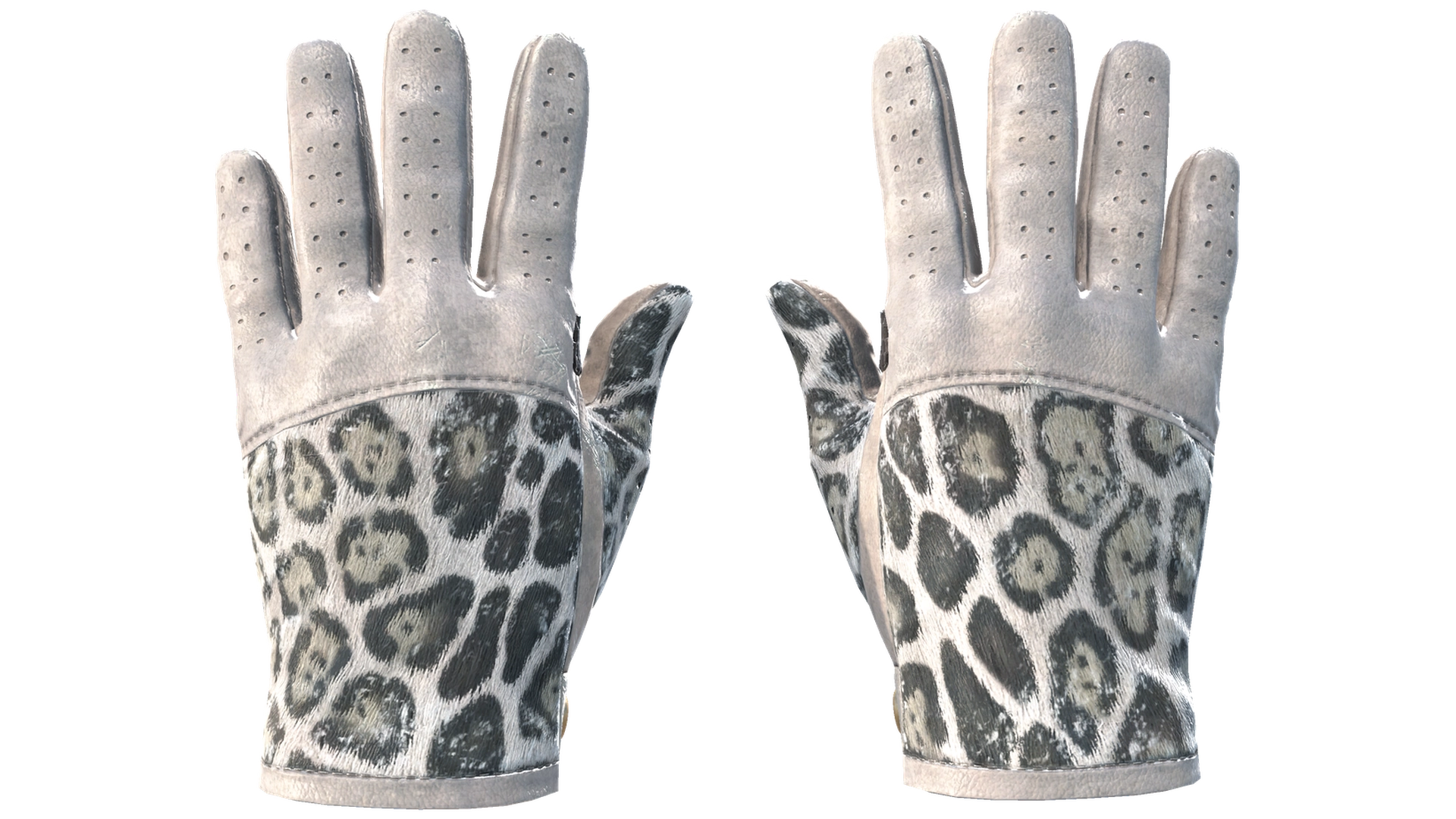 Snow Leopard image