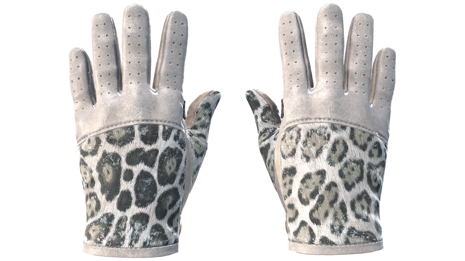 Snow Leopard image
