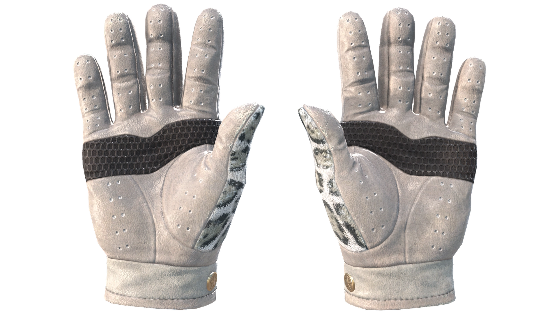 Snow Leopard image