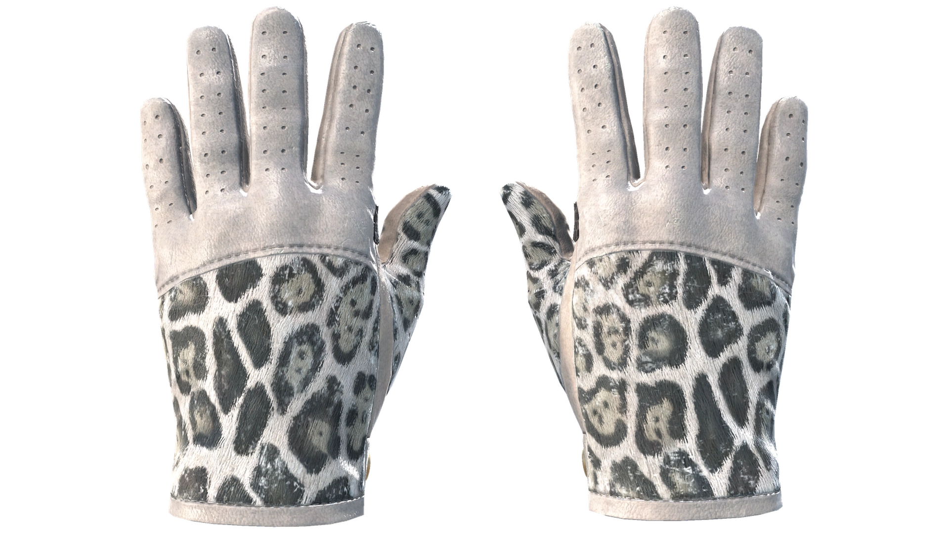 Snow Leopard image