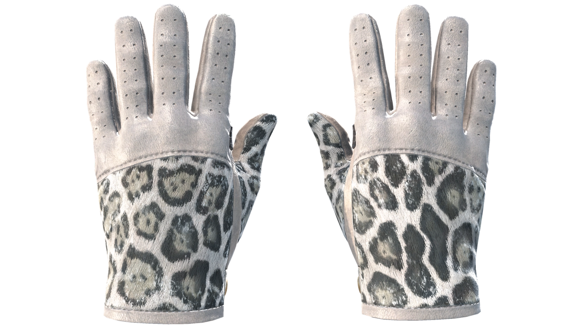Snow Leopard image