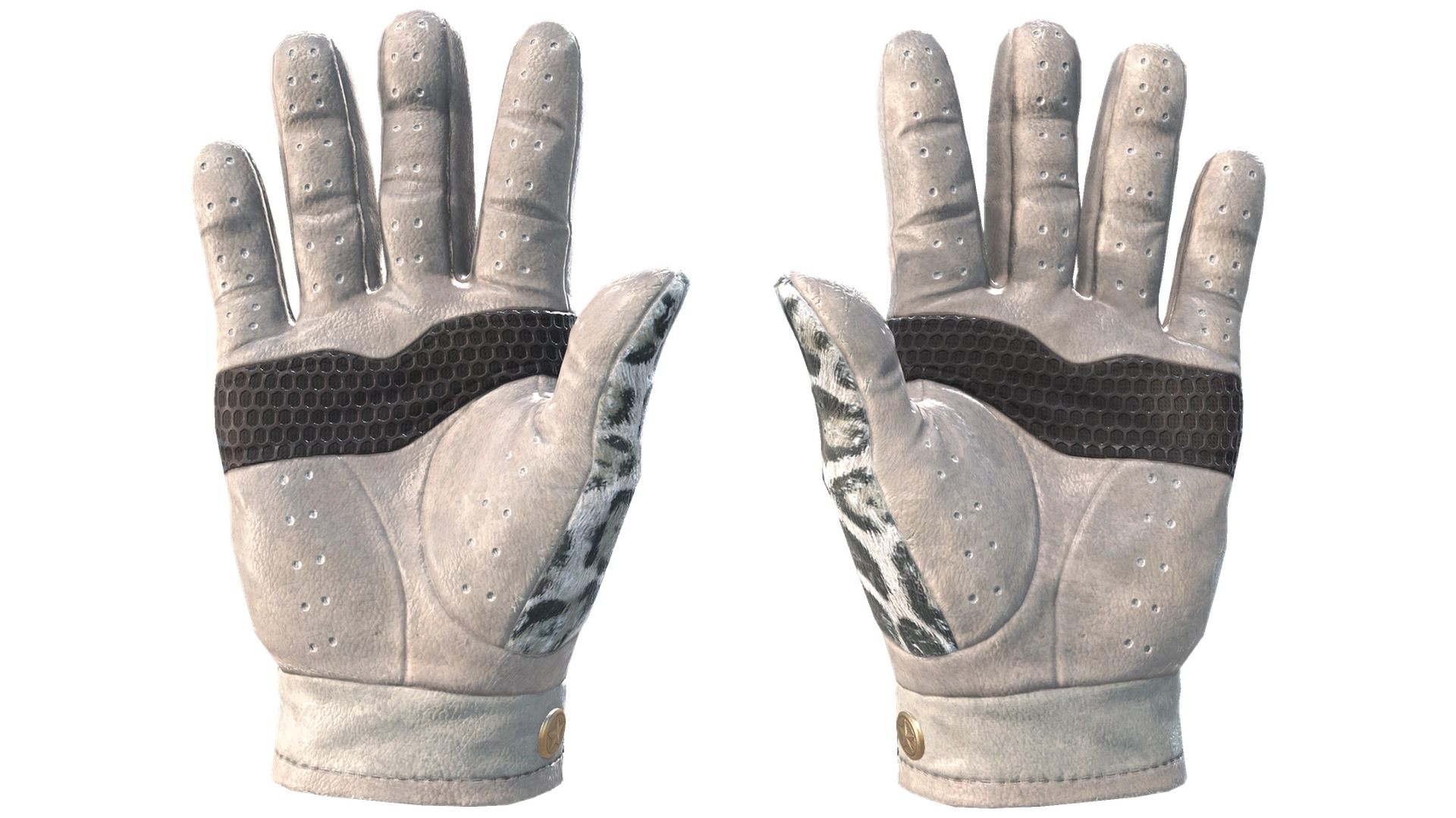 Snow Leopard image