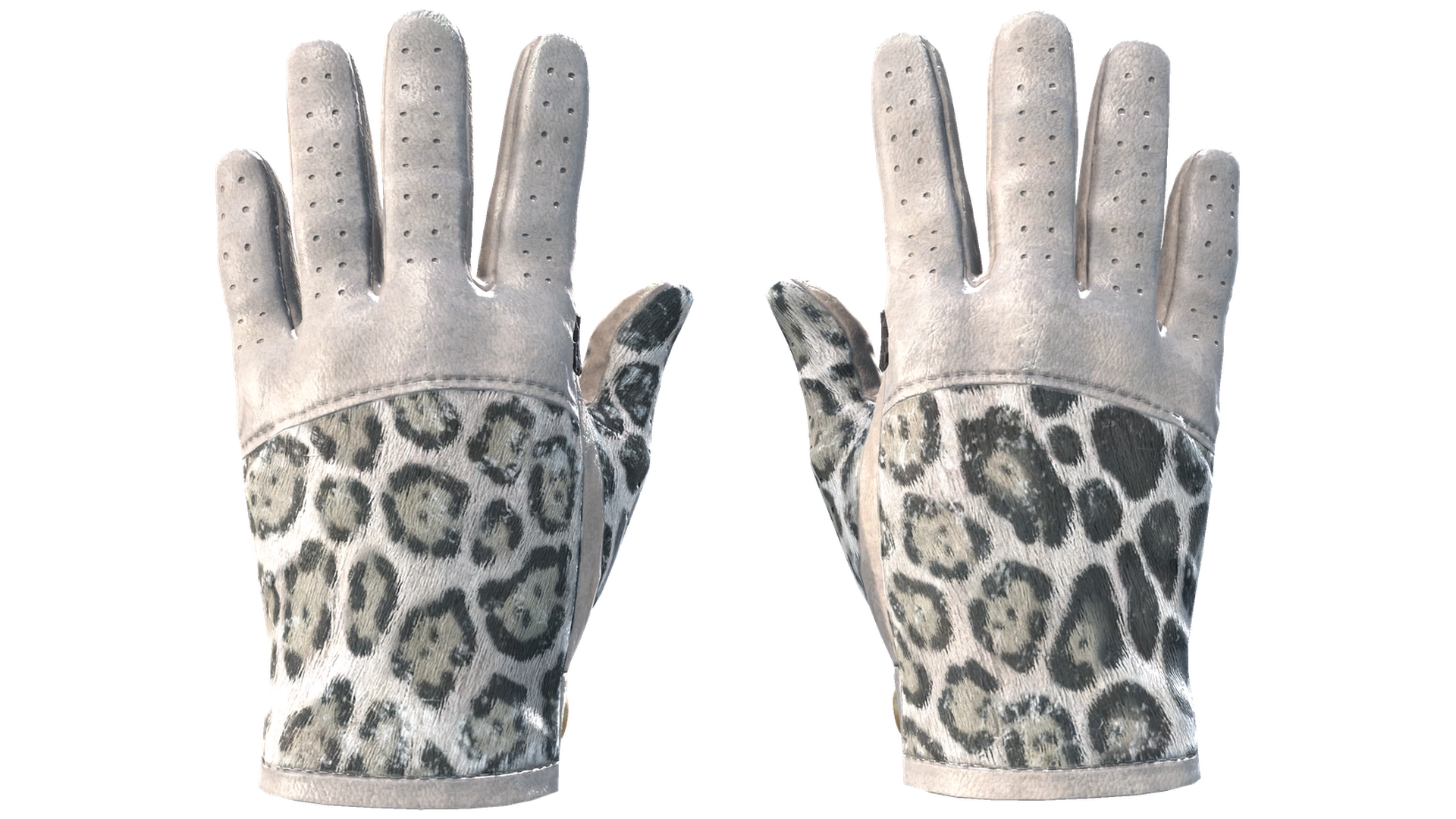 Snow Leopard image