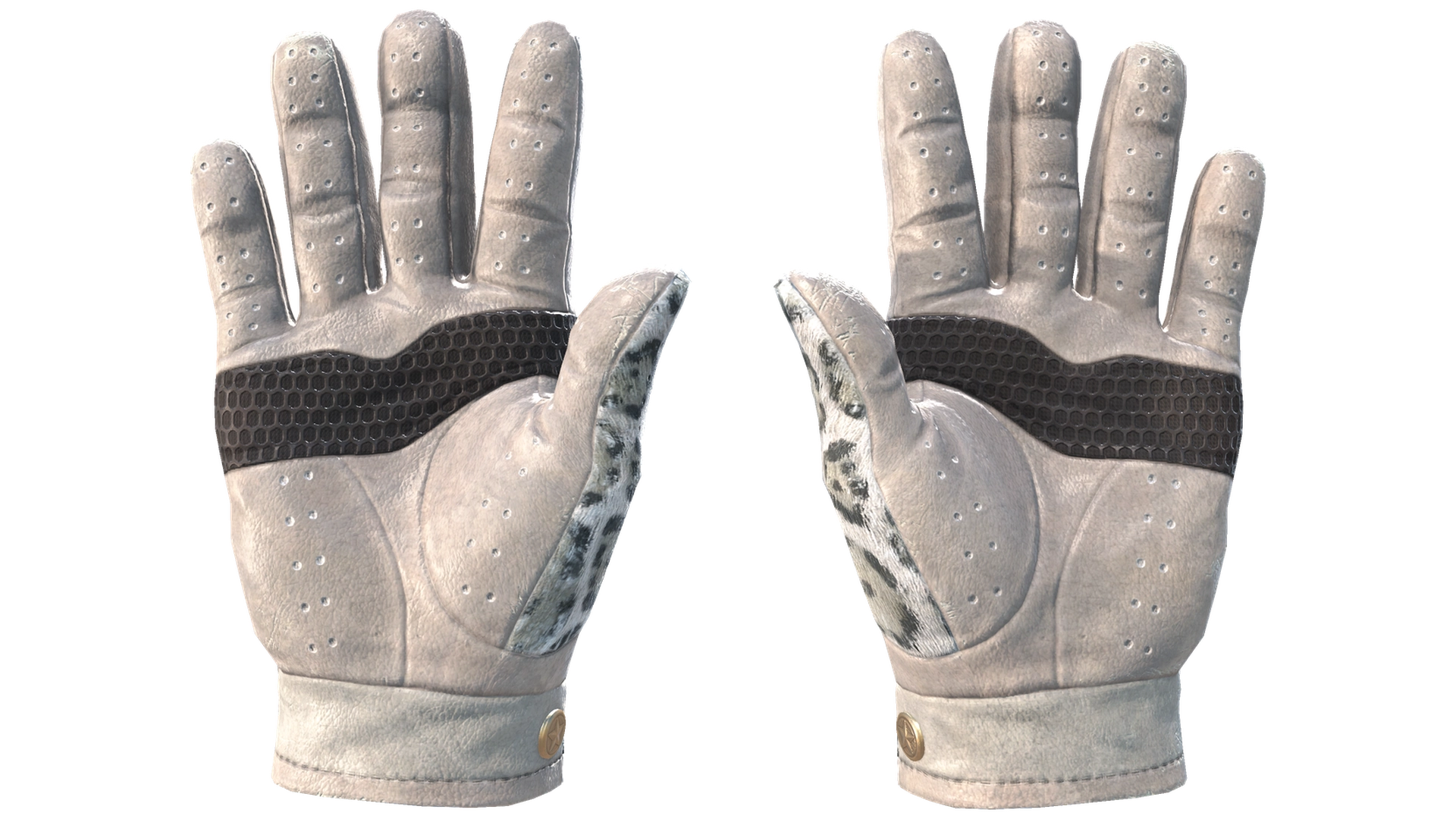 Snow Leopard image
