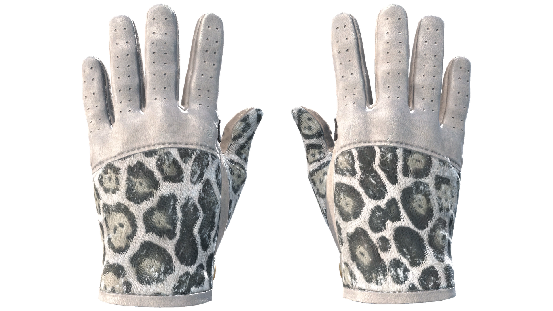 Snow Leopard image