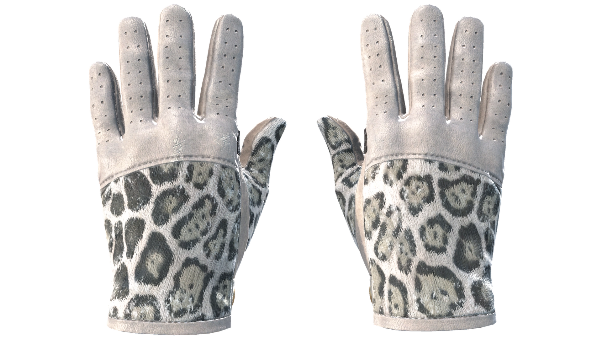 Snow Leopard image
