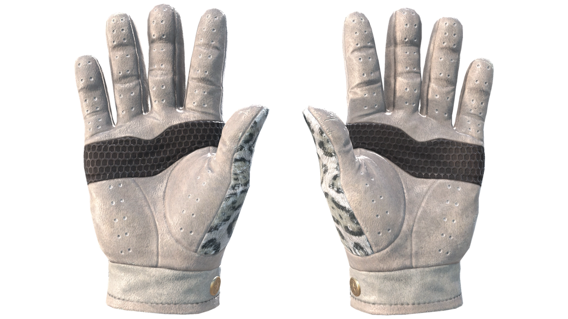 Snow Leopard image
