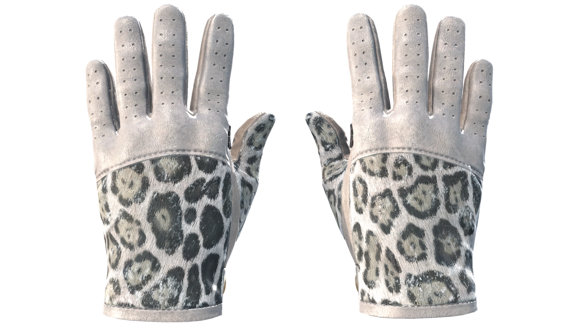 Snow Leopard image
