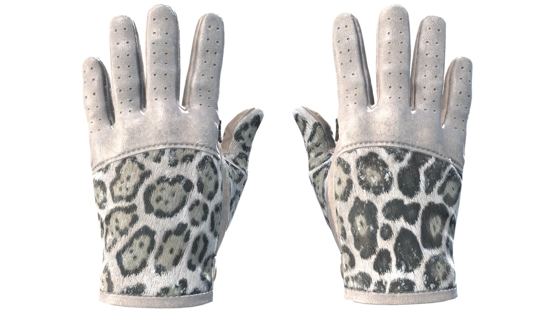 Snow Leopard image
